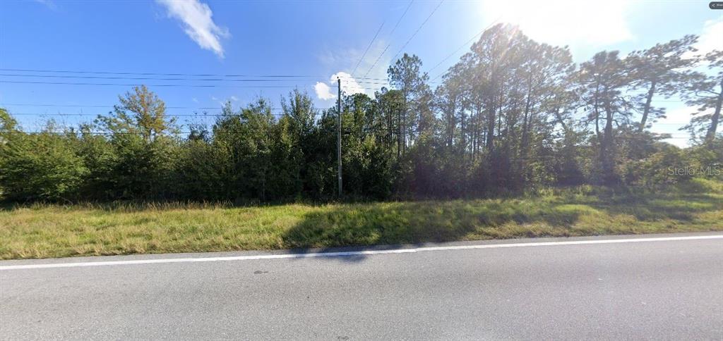 A view of a vacant, wooded lot bordering an asphalt road under a sunny sky — OLD GRADE RD, POLK CITY, FL
