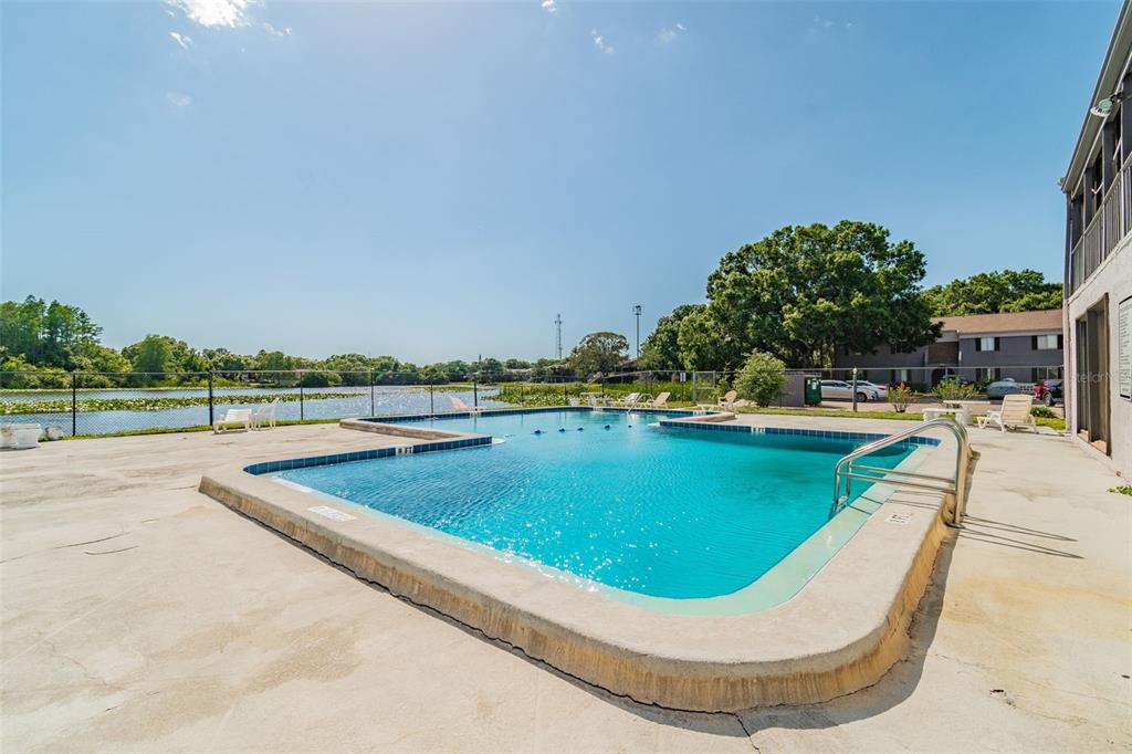 An outdoor swimming pool sits on a concrete deck next to a lake and building — 4036 CORTEZ DRIVE UNIT A, TAMPA, FL