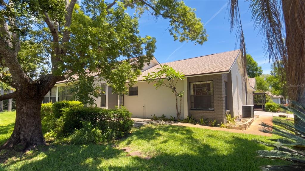 A single-story house with a white stucco exterior, brick accents, and a large shade tree — 7636 HAIG COURT, NEW PORT RICHEY, FL