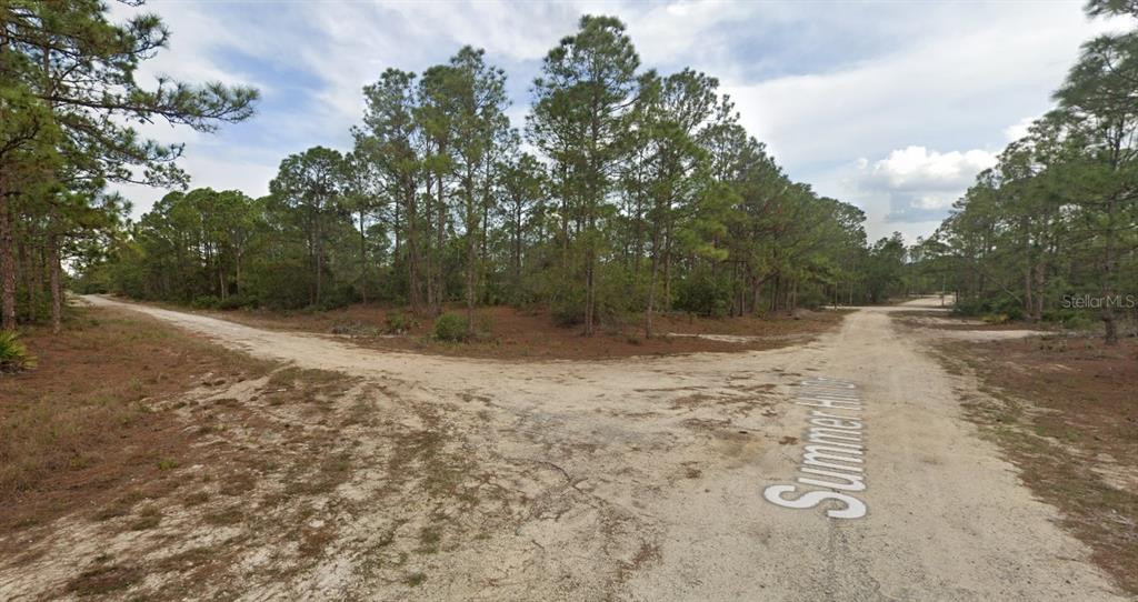 A dirt road forks through a wooded area with pine trees under a cloudy sky — 401 WIND ROSE AVENUE, LAKE PLACID, FL