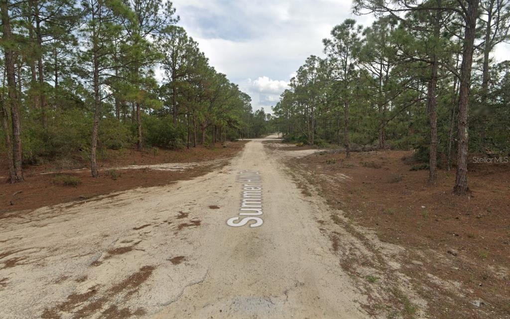 A dirt road winds through a wooded area with pine trees on both sides — 401 WIND ROSE AVENUE, LAKE PLACID, FL