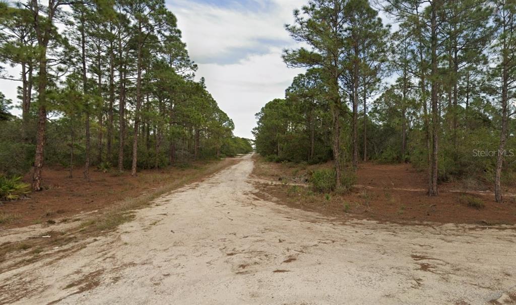 A dirt road leads through a wooded area with pine trees under a cloudy sky — 401 WIND ROSE AVENUE, LAKE PLACID, FL