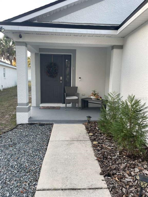 The front entrance features a covered porch, a dark gray door, and a concrete walkway — 11331 PALM ISLAND AVENUE, RIVERVIEW, FL