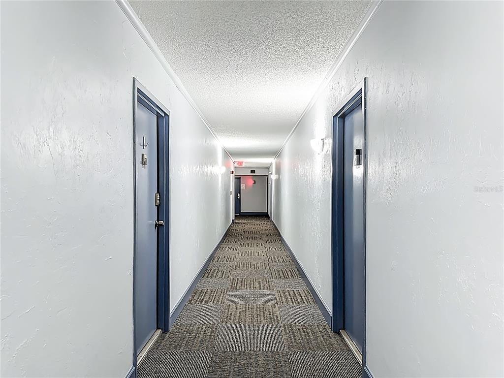 A narrow apartment hallway features blue doors, light-colored walls, and patterned carpet flooring — 2901 26TH STREET W UNIT 511, BRADENTON, FL