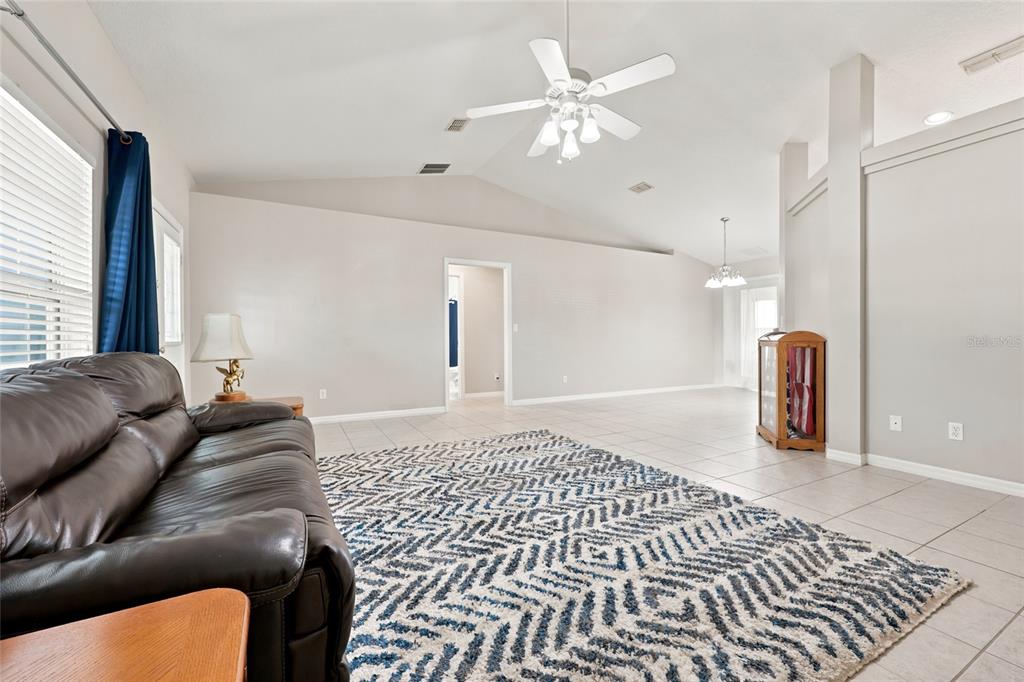 A living room features a brown leather sofa, a patterned area rug, and vaulted ceilings — 8708 SW 60TH CIRCLE, OCALA, FL