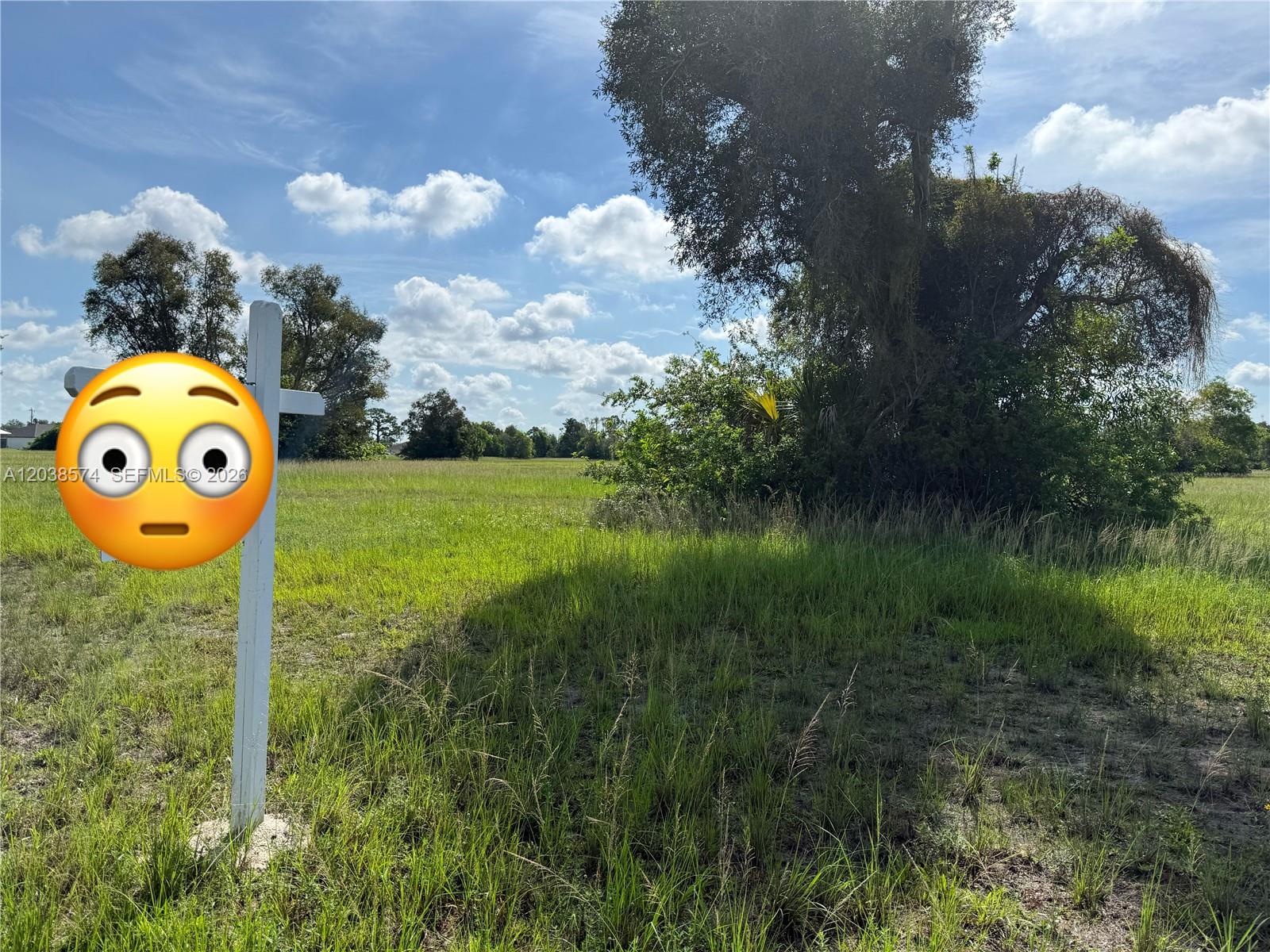A white real estate sign stands in a grassy, undeveloped lot with scattered trees — 1627 NW 5th Ave, Cape Coral FL 33993, CAPE CORAL, FL