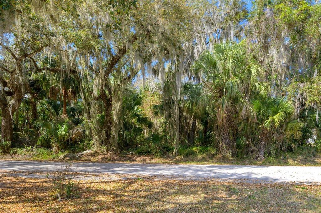 A dirt road runs in front of a dense, wooded area filled with palm trees — 0 W BEACH PARKWAY, LAKE WALES, FL