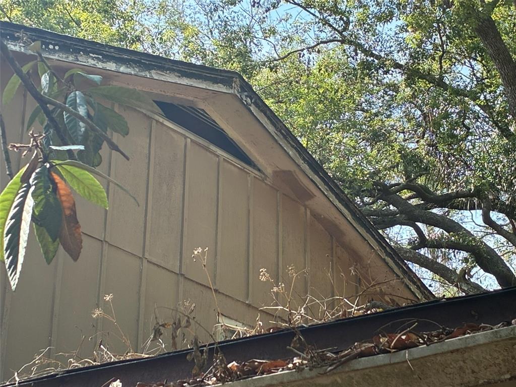 A low-angle view of a house exterior showing a gable roofline, siding, and clogged gutters — 1309 W RAMBLA STREET, TAMPA, FL