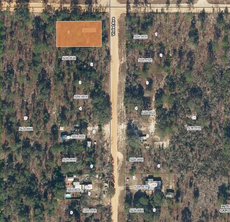 231 VIOLET AVE