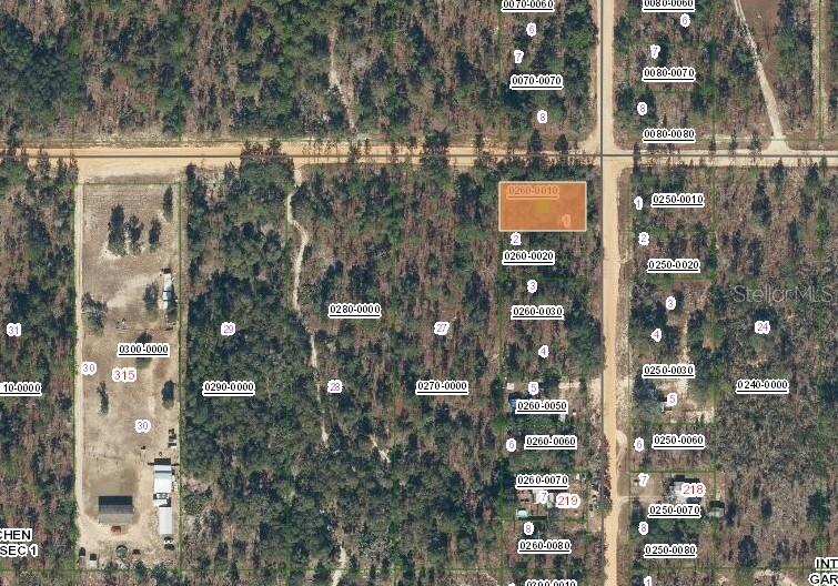 This is an aerial map showing a highlighted rectangular parcel of land among wooded lots — 231 VIOLET AVE, INTERLACHEN, FL