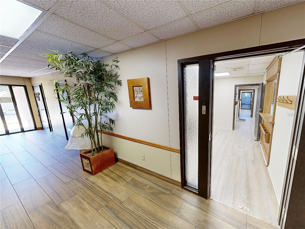 A hallway with wood-look tile flooring, a potted plant, and an open doorway to offices — 6628 NW 9TH BOULEVARD NW UNIT 4, GAINESVILLE, FL