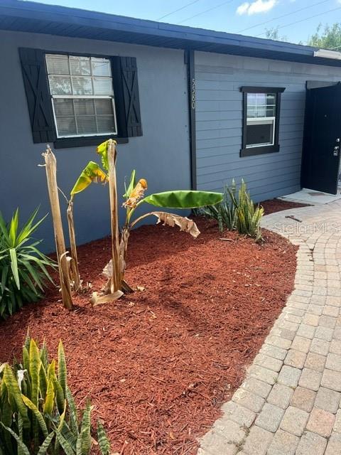 The exterior of a blue house features a brick walkway, red mulch, and banana plants — 5580 STATE ROAD 542 W, WINTER HAVEN, FL
