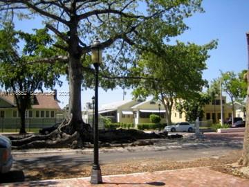 A large tree with exposed roots stands near a street lamp in a residential neighborhood — 843 SW 13th AV # 201, Miami FL 33135, MIAMI, FL