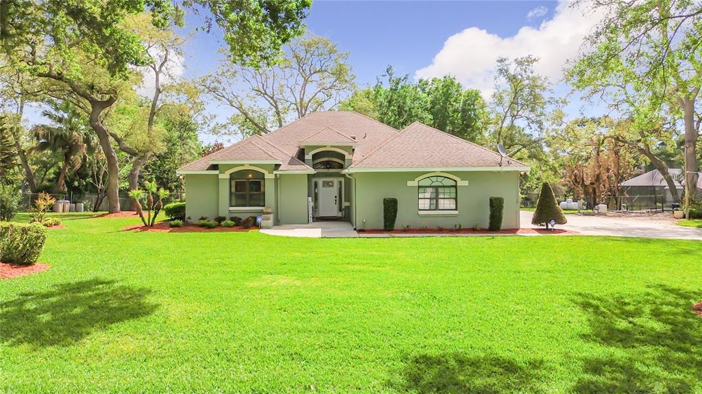 3536 PINE TREE LOOP