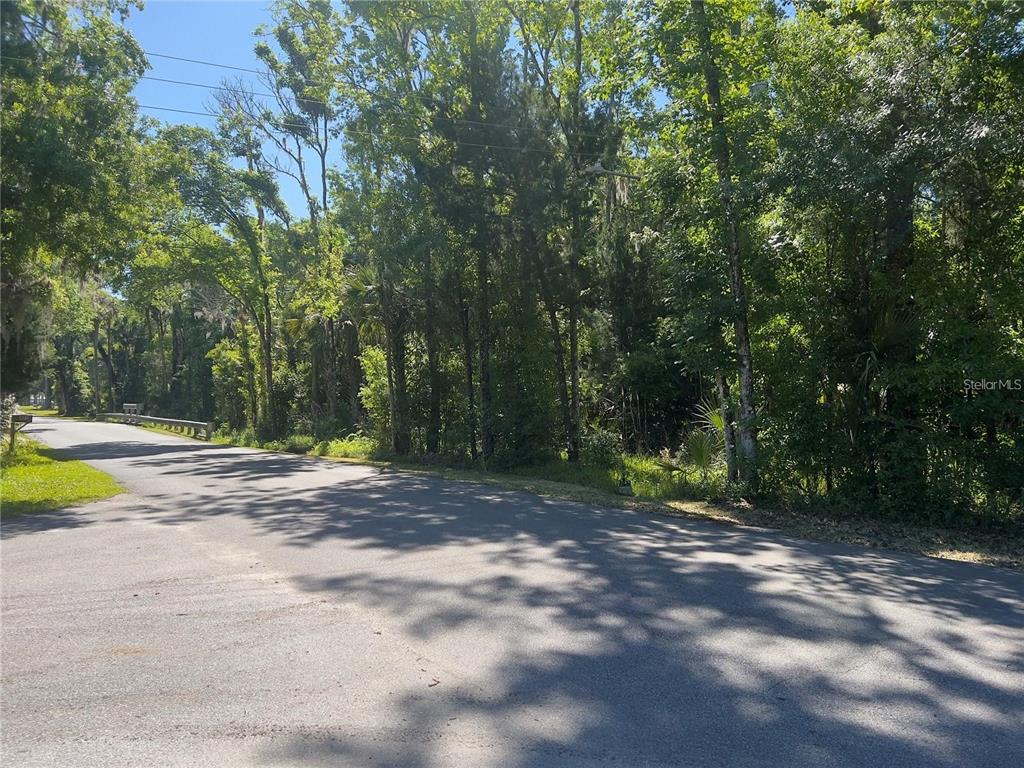 A paved road runs alongside a dense, wooded lot under a clear blue sky — 450 NW CRYSTAL STREET, CRYSTAL RIVER, FL