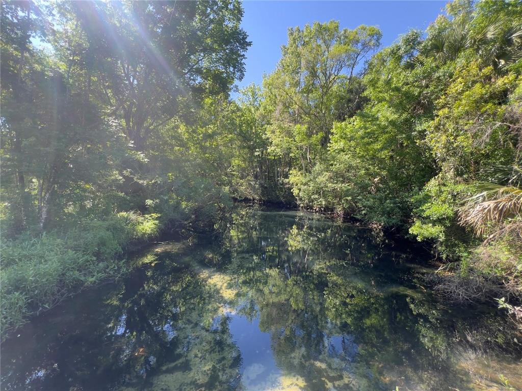 A narrow, clear stream flows through a dense, sunlit forest with lush green trees — 450 NW CRYSTAL STREET, CRYSTAL RIVER, FL