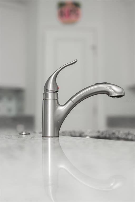 A close-up of a stainless steel kitchen faucet mounted on a granite countertop — 661 CROWN ROSE DRIVE, EAGLE LAKE, FL
