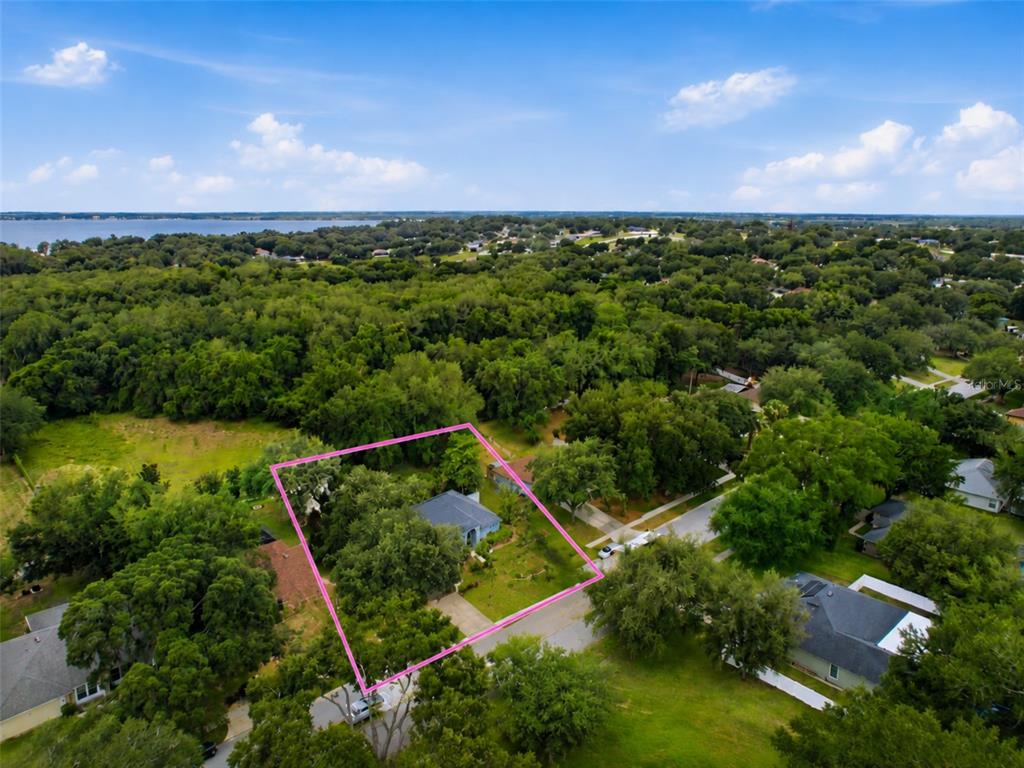 An aerial view shows a single-story house surrounded by trees within a highlighted property boundary — 1313 OAK VALLEY BOULEVARD, MINNEOLA, FL