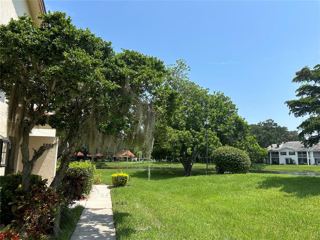 A sidewalk leads past a tree with Spanish moss toward a pond and residential buildings — 5662 GARDENS DRIVE UNIT 104, SARASOTA, FL