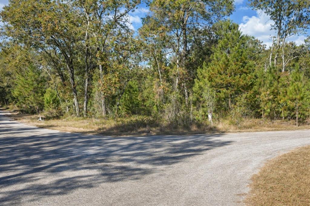 A gravel road forks in front of a wooded area with mature trees and pines — GUAVA PASS PL, OCKLAWAHA, FL