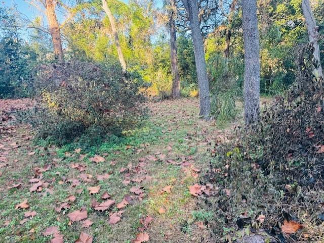 4547 CR 692, WEBSTER, FL — photo 3 of 30
