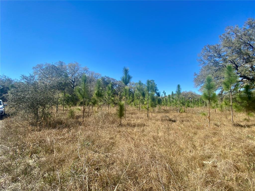 01 UNNAMED, SPRING HILL, FL — photo 3 of 30