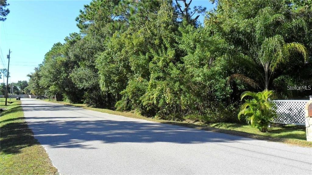 A paved road runs alongside a dense, wooded lot with a white fence — 9049 FRYLAND ROAD, ORLANDO, FL