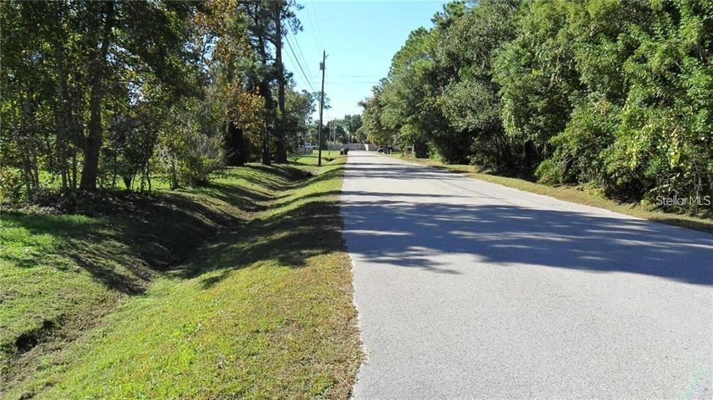 A paved road runs through a wooded area with a grassy drainage ditch on the left — 9049 FRYLAND ROAD, ORLANDO, FL