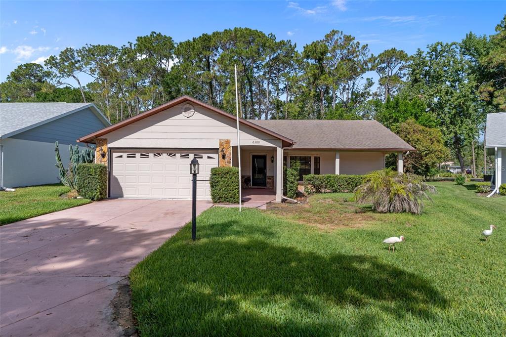 A single-story house with a beige exterior, a two-car garage, and a front lawn — 6300 DARIEN WAY, SPRING HILL, FL