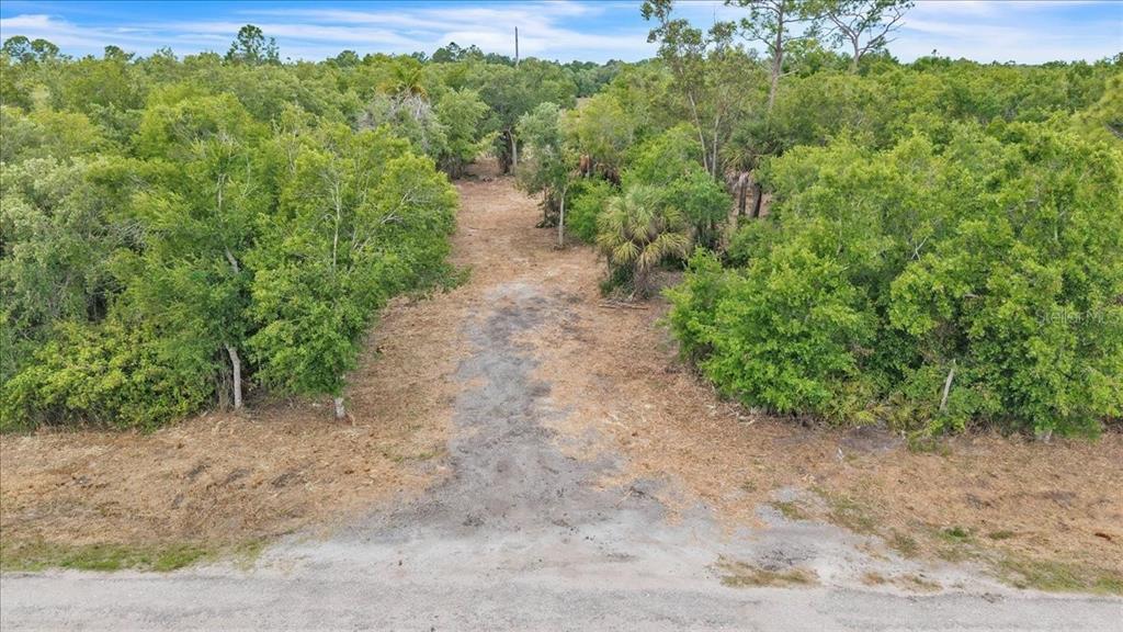 An elevated view of a cleared dirt path leading into a dense wooded lot — 2271 ASPEN ROAD, PUNTA GORDA, FL
