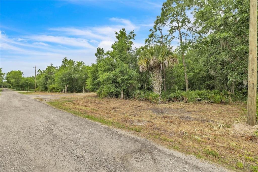 A dirt road runs alongside a vacant, wooded lot with a single palm tree — 2271 ASPEN ROAD, PUNTA GORDA, FL