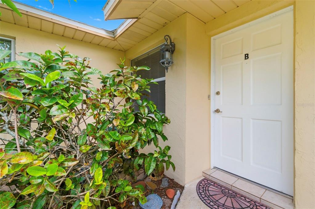 A white front door labeled B sits next to a large green shrub and window — 3052 PARK LANE UNIT B, DUNEDIN, FL