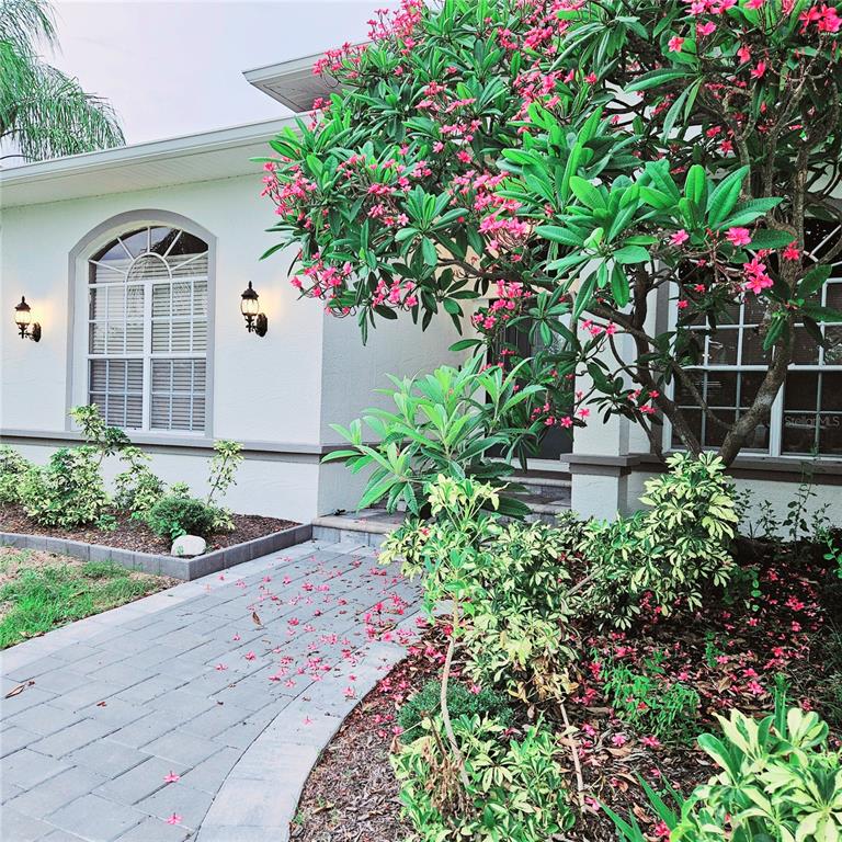 A paved walkway leads to the front entrance of a white house with a plumeria tree — 1415 BEACH CLUB LANE, APOLLO BEACH, FL