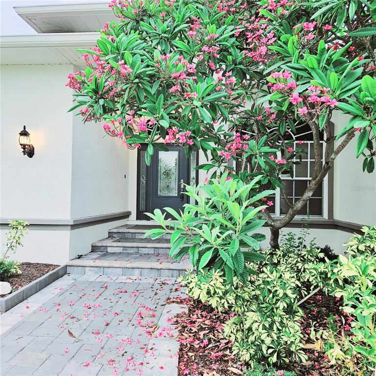 A paved walkway leads to the front entrance of a house with a blooming plumeria tree — 1415 BEACH CLUB LANE, APOLLO BEACH, FL