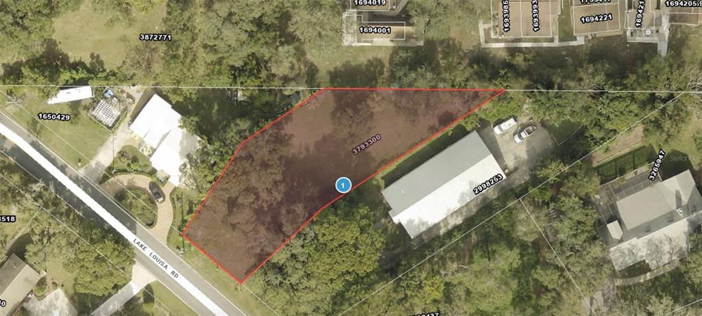 An aerial map shows a vacant, irregularly shaped lot highlighted in red along a road — LAKE LOUISA ROAD, CLERMONT, FL