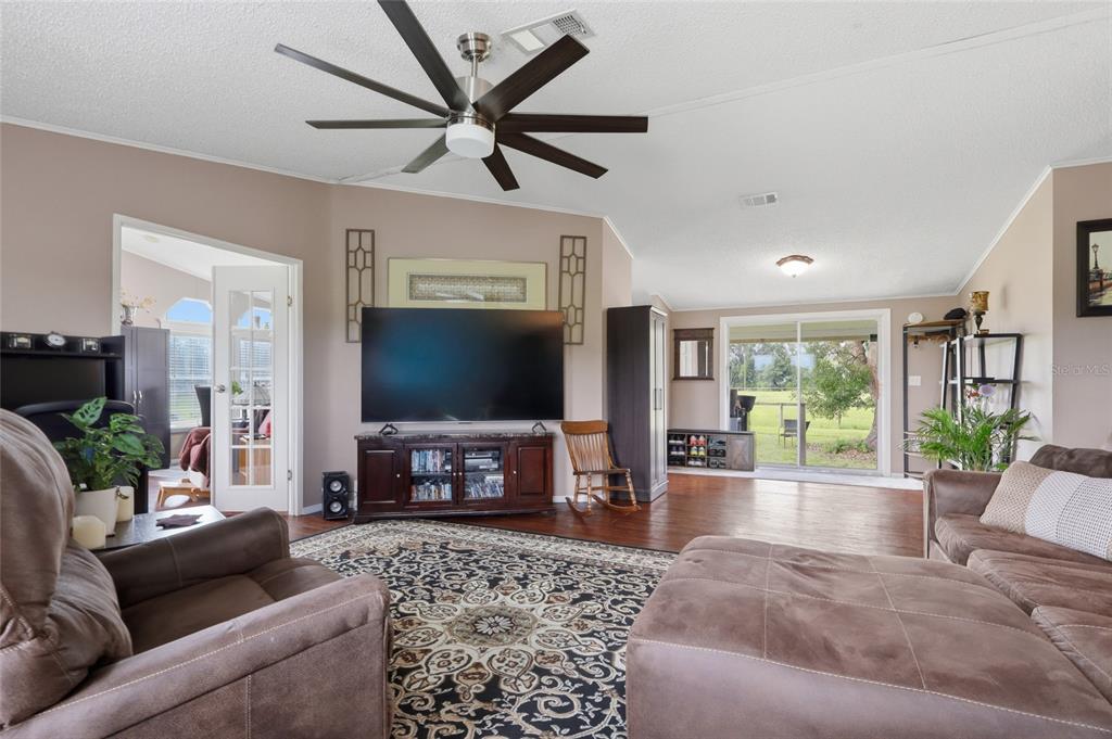 A living room features a large television, brown furniture, a patterned rug, and a ceiling fan — 28651 TUPPER ROAD, WESLEY CHAPEL, FL