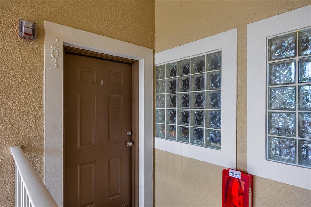 A brown apartment door labeled 203 sits next to a glass block window and alarm — 1195 GODAVARI WAY E UNIT 201, WESLEY CHAPEL, FL