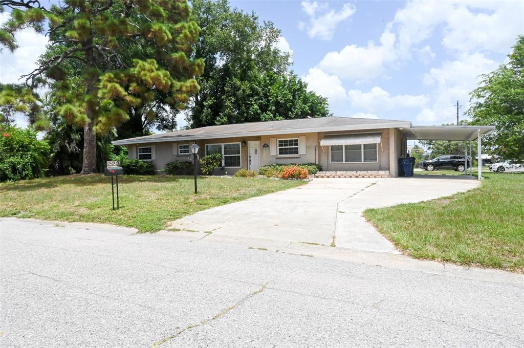 A single-story ranch-style house features a concrete driveway, a carport, and a large pine tree — 3341 ANDREA STREET, SARASOTA, FL