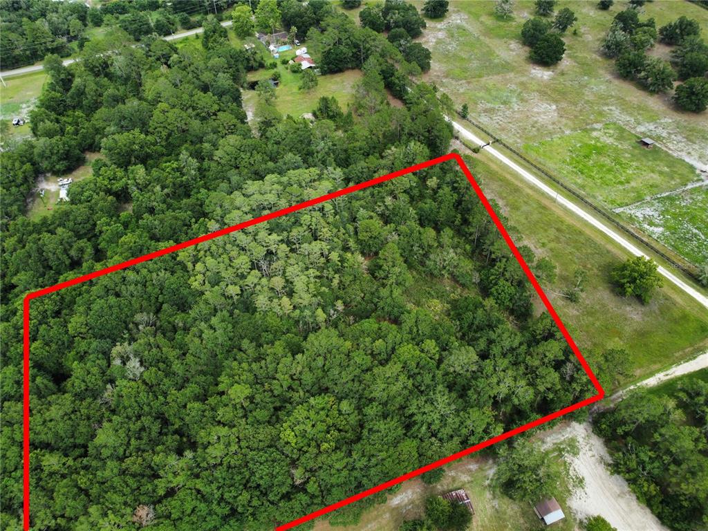 An aerial view shows a rectangular plot of land densely covered with trees and vegetation — TBD SE 136TH STREET, STARKE, FL