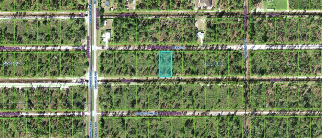 This is an aerial map showing a rectangular plot of land highlighted in blue — 713 ALBA DRIVE, INDIAN LAKE ESTATES, FL