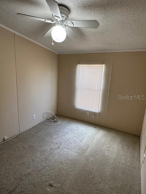 An empty bedroom features beige walls, carpeted flooring, a ceiling fan, and a window with blinds — 5705 MIDDLESEX DRIVE, TAMPA, FL