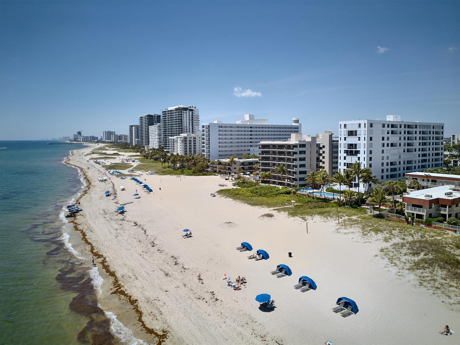 An aerial view of a sandy beach lined with high-rise condominiums and blue umbrellas — 1500 N Ocean Boulevard # 803, Pompano Beach FL 33062, POMPANO BEACH, FL