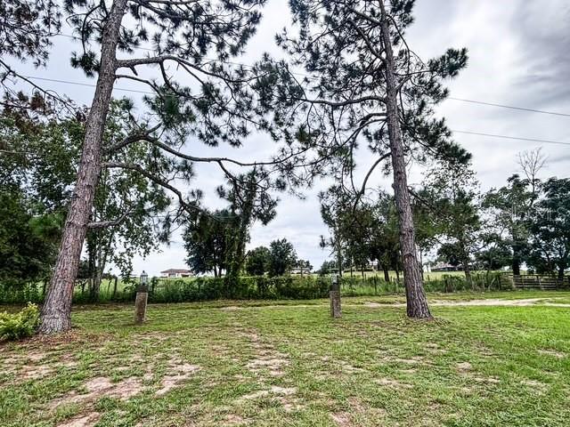A grassy yard features two tall pine trees and two small landscape lights — 11300 VALLEY VIEW DRIVE, HOWEY IN THE HILLS, FL