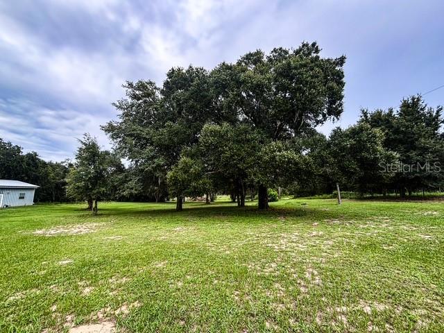A large, mature oak tree stands in the center of a grassy, open field — 11300 VALLEY VIEW DRIVE, HOWEY IN THE HILLS, FL