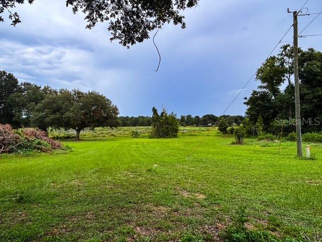 A grassy, open field features scattered trees under a cloudy sky with a utility pole — 11300 VALLEY VIEW DRIVE, HOWEY IN THE HILLS, FL