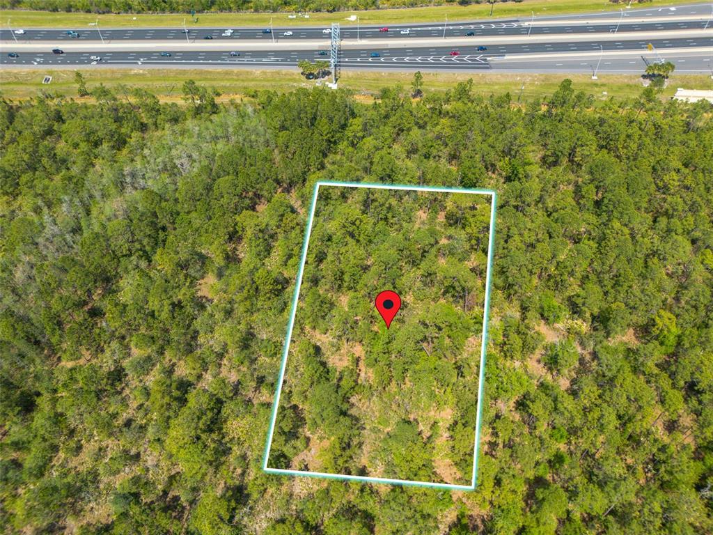 SR-535, ORLANDO, FL — photo 2 of 4