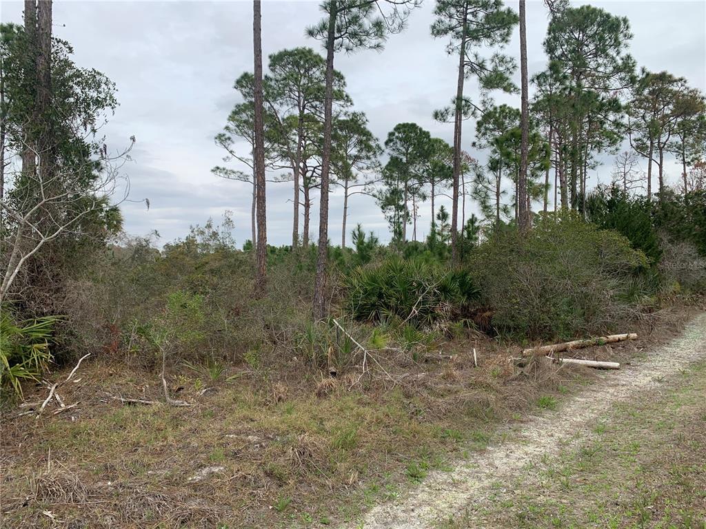 00 153RD TERRACE, CEDAR KEY, FL — photo 2 of 3