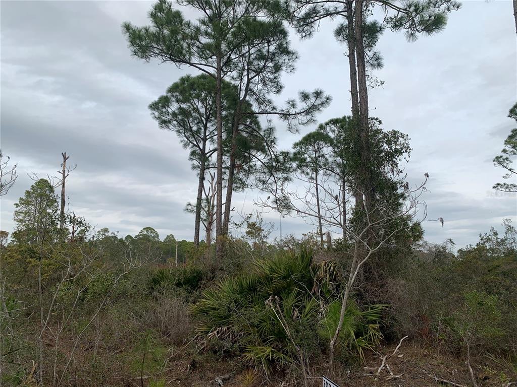 00 153RD TERRACE, CEDAR KEY, FL — photo 3 of 3