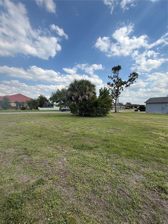 A grassy vacant lot features a cluster of trees and shrubs under a cloudy sky — 1295 TIDY LANE, PUNTA GORDA, FL