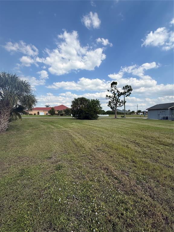 A grassy, vacant residential lot features a palm tree, a large bush, and neighboring houses — 1295 TIDY LANE, PUNTA GORDA, FL